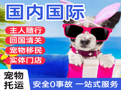 北海福成航空快递国际宠物托运 【国